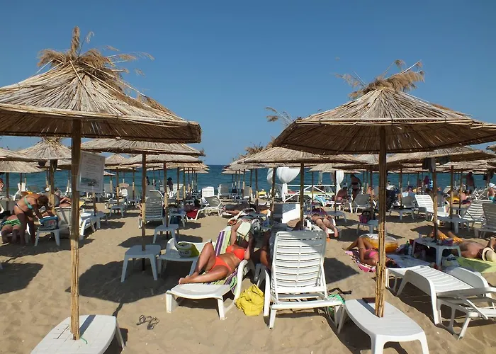 Al Rial * Shkorpilovtsi